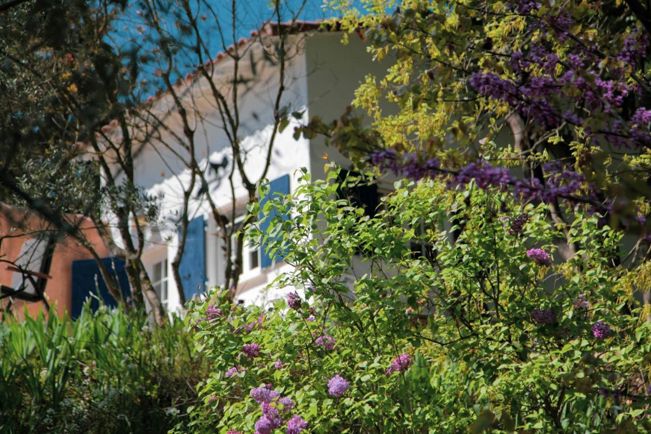 Casa vacanze Montmajour - Mas Des Oursons *